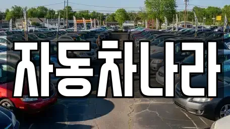 경기도 화성시 안녕동 중고차 전문 자동차나라