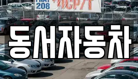 경남 거제시 두모동 중고차 전문 동서자동차