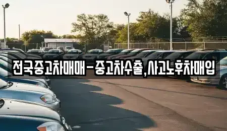 경남 거제시 두모동 중고차 전문 전국중고차매매-중고차수출,사고노후차매입