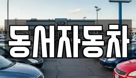 경남 고성군 동해면 중고차 전문 동서자동차