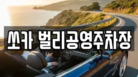 경남 사천시 동림동 렌트카 전문 쏘카 벌리공영주차장