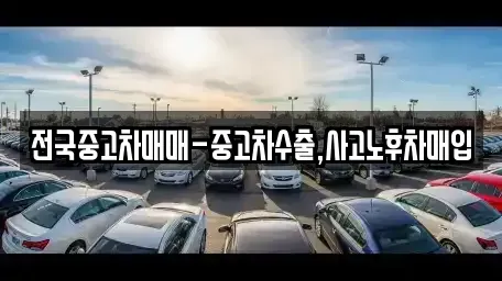 경남 사천시 동림동 중고차 전문 전국중고차매매-중고차수출,사고노후차매입