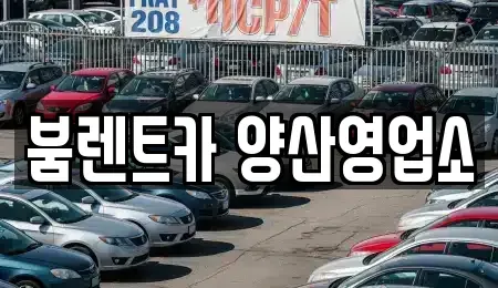 경남 양산시 원동면 렌트카,단기렌트카,장기렌트카,중고차,중고차매매,중고차매입