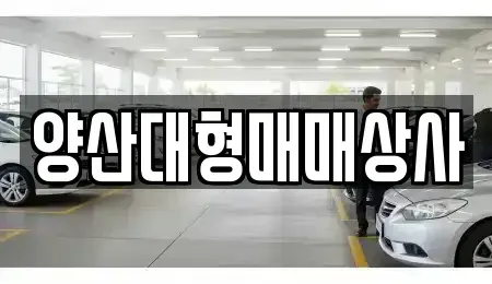 경남 양산시 원동면 중고차 전문 양산대형매매상사