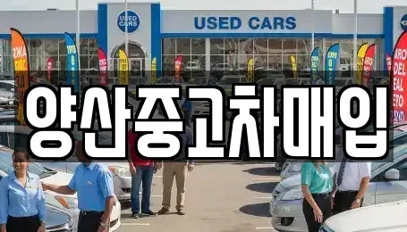 경남 양산시 원동면 중고차 전문 양산중고차매입