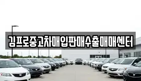 경남 양산시 원동면 중고차매입 전문 김프로중고차매입판매수출매매센터