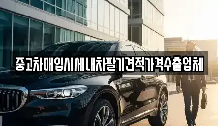 경남 양산시 원동면 중고차매입 전문 중고차매입시세내차팔기견적가격수출업체