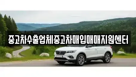 경남 진주시 수정동 중고차매입 전문 중고차수출업체중고차매입매매지원센터