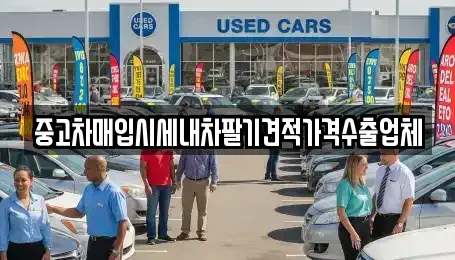 경남 창원시 마산합포구 교방동 중고차매입 전문 중고차매입시세내차팔기견적가격수출업체