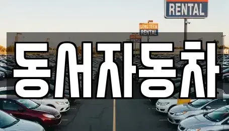 경남 창원시 마산합포구 문화동 중고차매매 전문 동서자동차