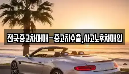 경남 창원시 마산합포구 문화동 중고차매입 전문 전국중고차매매-중고차수출,사고노후차매입