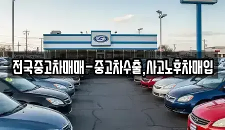 경남 창원시 마산합포구 월남동2가 중고차 전문 전국중고차매매-중고차수출,사고노후차매입