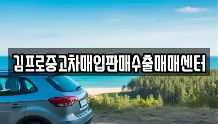 경남 창원시 마산회원구 봉암동 중고차 전문 김프로중고차매입판매수출매매센터