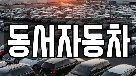 경남 창원시 마산회원구 봉암동 중고차 전문 동서자동차