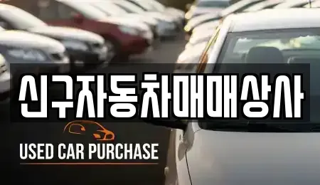 경남 창원시 마산회원구 회원동 중고차매매 전문 신구자동차매매상사
