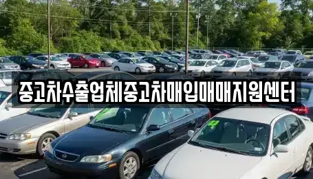 경남 창원시 마산회원구 회원동 중고차매입 전문 중고차수출업체중고차매입매매지원센터