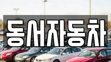 경남 창원시 의창구 소계동 중고차매매 전문 동서자동차