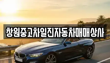 경남 창원시 의창구 소계동 중고차매매 전문 창원중고차일진자동차매매상사