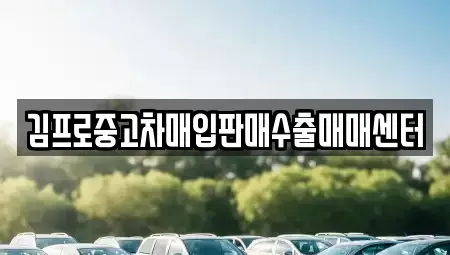 경남 창원시 진해구 대영동 중고차 전문 김프로중고차매입판매수출매매센터