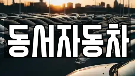 경남 창원시 진해구 대영동 중고차 전문 동서자동차