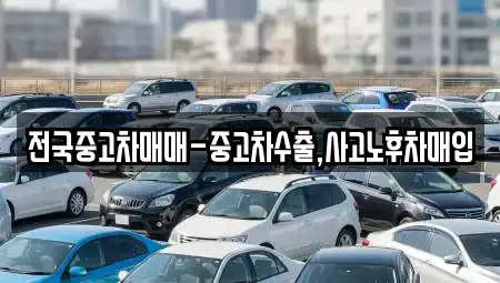경남 창원시 진해구 대영동 중고차매입 전문 전국중고차매매-중고차수출,사고노후차매입