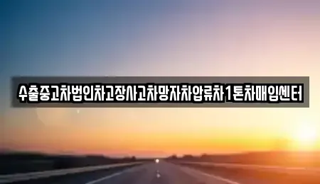 경남 창원시 진해구 대천동 중고차매입 전문 수출중고차법인차고장사고차망자차압류차1톤차매입센터