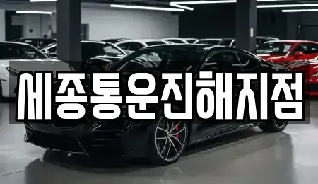 경남 창원시 진해구 풍호동 렌트카 전문 세종통운진해지점