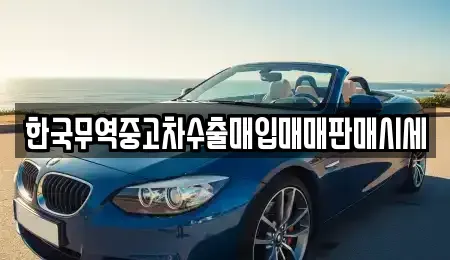 경남 함안군 가야읍 중고차매매,단기렌트카,중고차매입,장기렌트카,중고차,렌트카