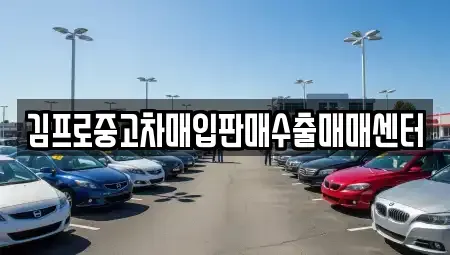 경북 경산시 사정동 중고차 전문 김프로중고차매입판매수출매매센터