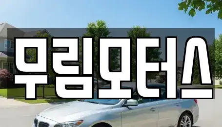 경북 경산시 사정동 중고차 전문 무림모터스