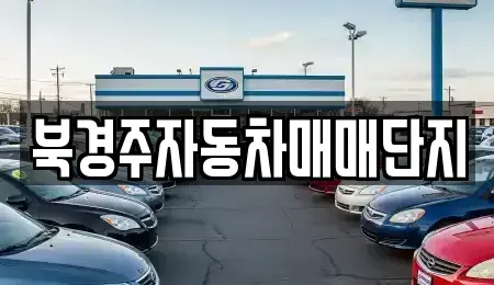 경북 경주시 강동면 중고차 전문 북경주자동차매매단지