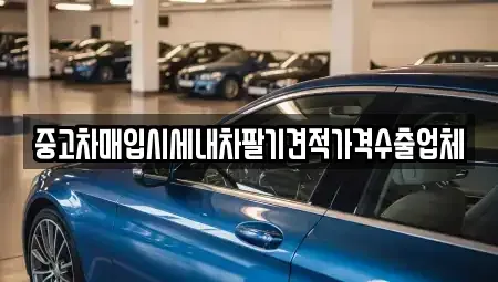 경북 경주시 강동면 중고차매입 전문 중고차매입시세내차팔기견적가격수출업체