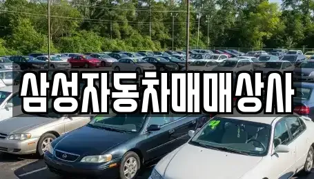 경북 구미시 선기동 중고차 전문 삼성자동차매매상사