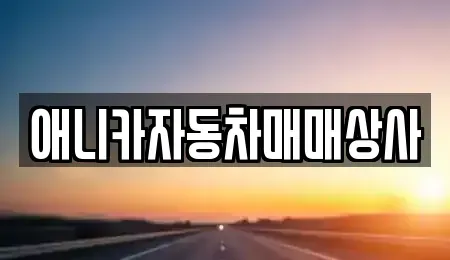 경북 구미시 선기동 중고차 전문 애니카자동차매매상사