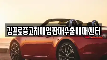 경북 김천시 대광동 중고차매입 전문 김프로중고차매입판매수출매매센터
