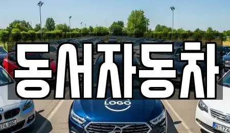 경북 김천시 황금동 중고차매매 전문 동서자동차