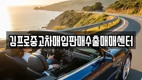 경북 김천시 황금동 중고차매입 전문 김프로중고차매입판매수출매매센터
