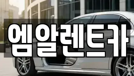 경북 성주군 용암면 렌트카 전문 엠알렌트카