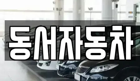 경북 성주군 용암면 중고차 전문 동서자동차