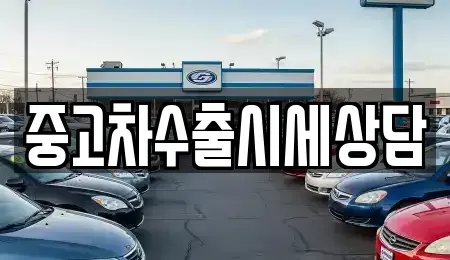 경북 안동시 법흥동 중고차매매 전문 중고차수출시세상담