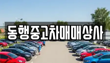 경북 안동시 송현동 중고차매매 전문 동행중고차매매상사