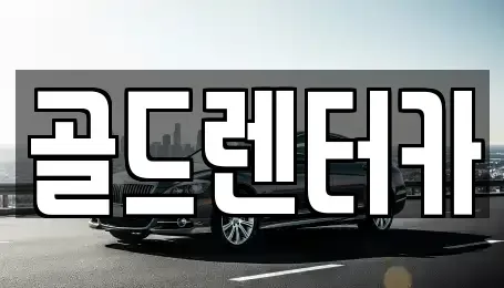 경북 안동시 신세동 렌트카 전문 골드렌터카