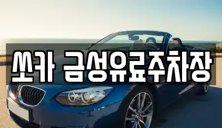경북 안동시 신세동 렌트카 전문 쏘카 금성유료주차장