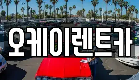 경북 영천시 조교동 렌트카 전문 오케이렌트카