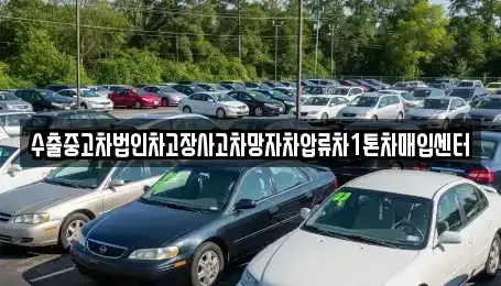 경북 영천시 조교동 중고차매입 전문 수출중고차법인차고장사고차망자차압류차1톤차매입센터