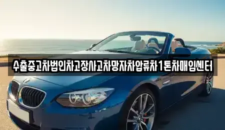 경북 의성군 비안면 중고차 전문 수출중고차법인차고장사고차망자차압류차1톤차매입센터