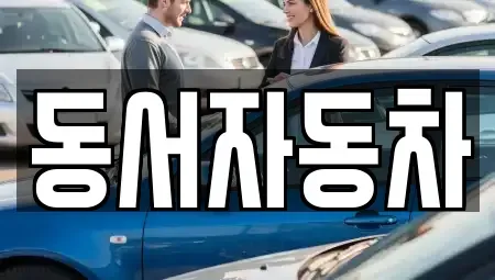 경북 칠곡군 기산면 중고차 전문 동서자동차