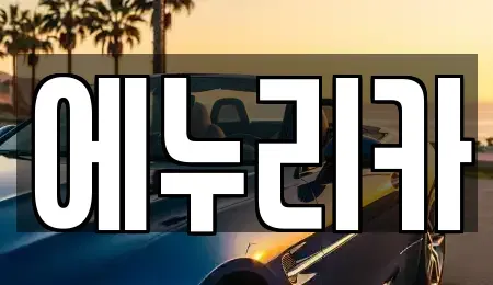 경북 칠곡군 기산면 중고차 전문 에누리카