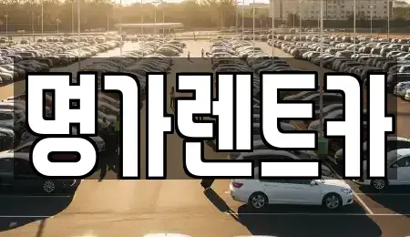 경북 포항시 북구 덕수동 렌트카 전문 명가렌트카