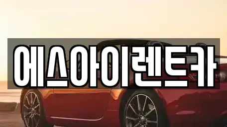 경북 포항시 북구 덕수동 렌트카 전문 에스아이렌트카